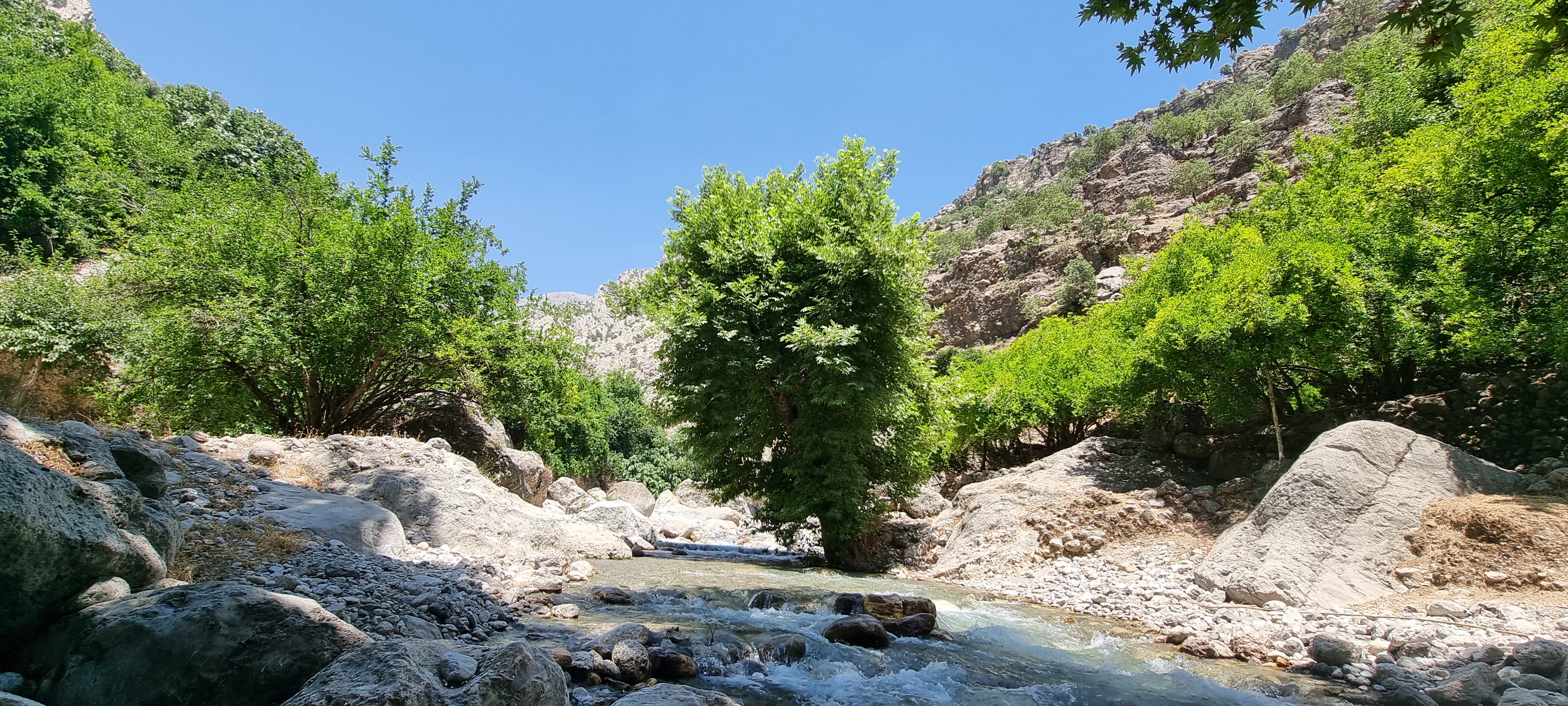 نمای روستا